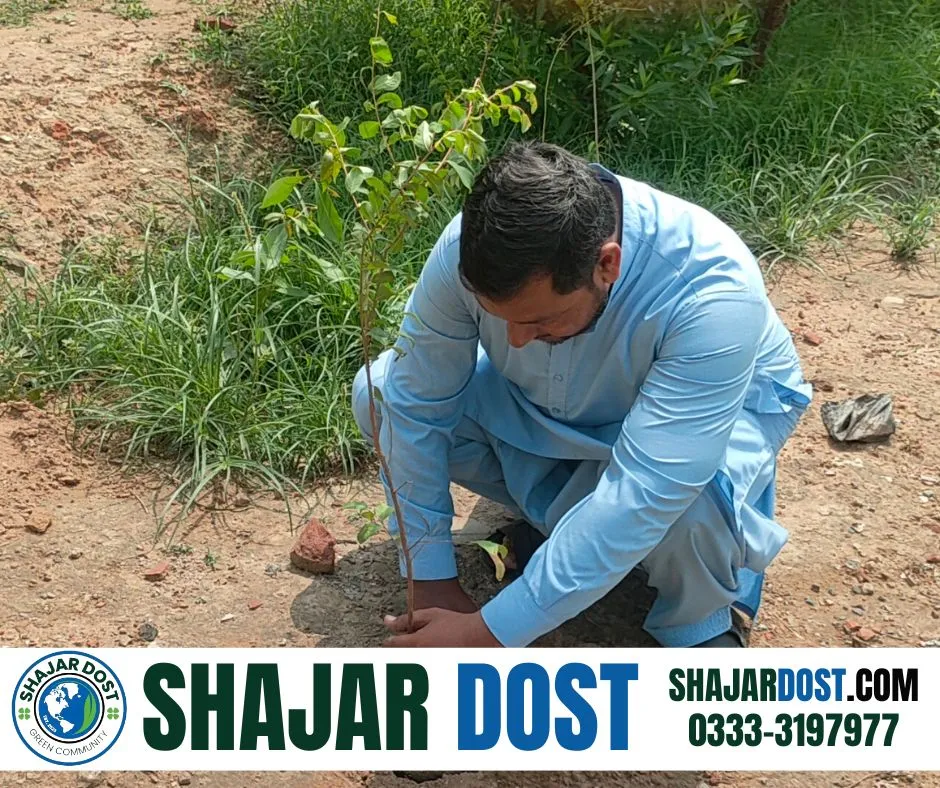 Green Seekers Activity